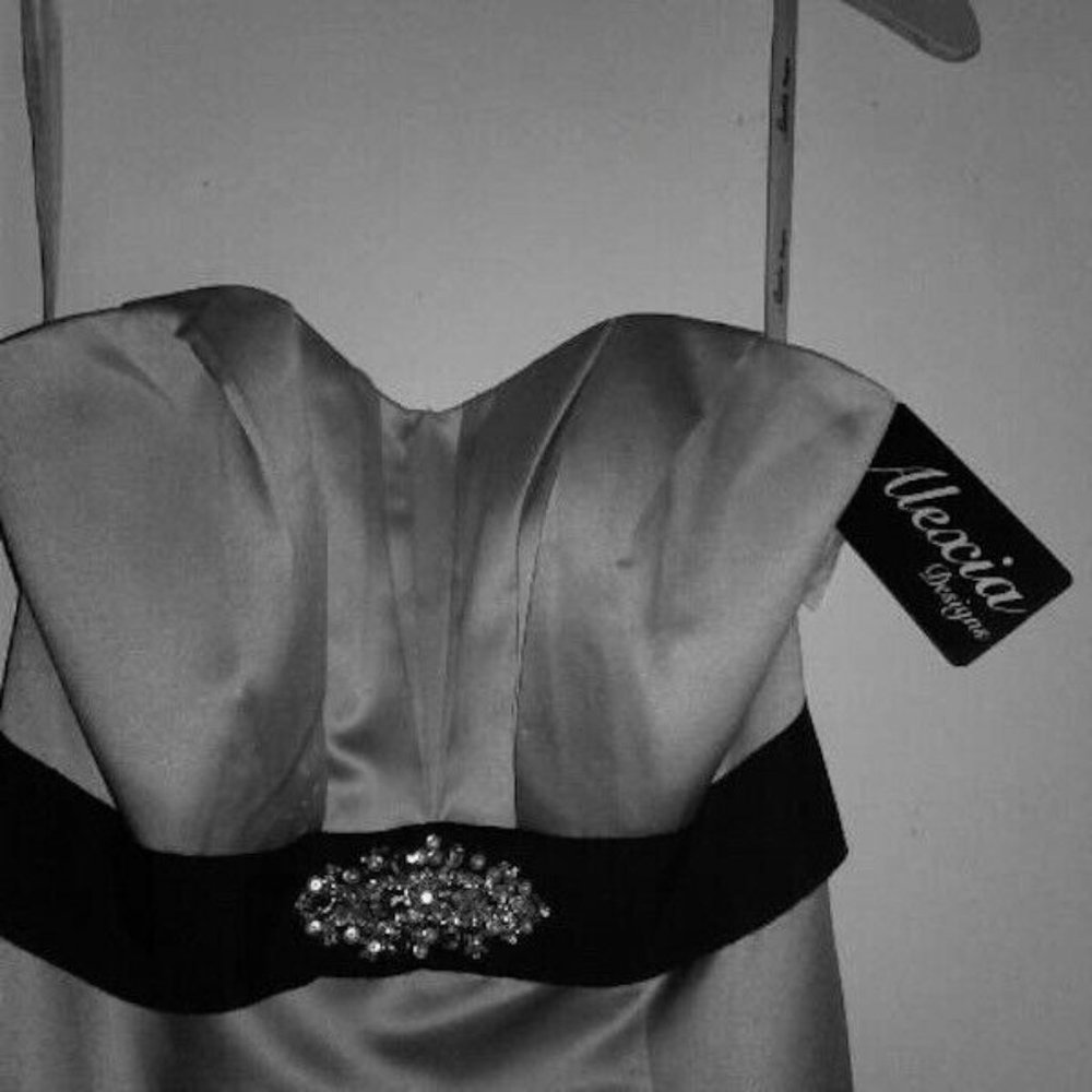 Alexia Designs Ice Silver Mermaid Dress OBO